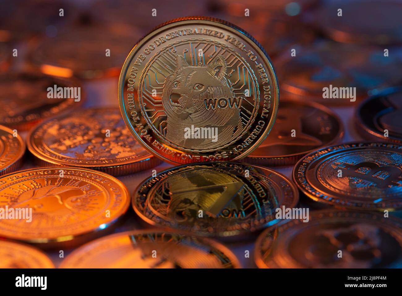 Dogecoin DOGE Cryptocurrency Coin fisico posto su cripto altcoins e illuminato con luci arancione e blu. Scatto macro. Messa a fuoco selettiva. Foto Stock