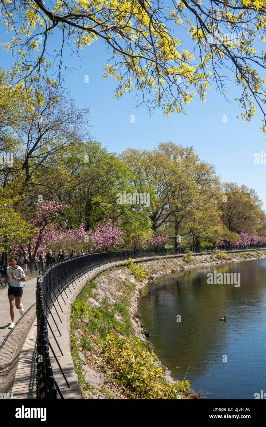 La pista di corsa attorno al lago artificiale Jacqueline Kennedy Onassis è una splendida destinazione di Central Park durante la stagione primaverile, NYC, USA 2022 Foto Stock