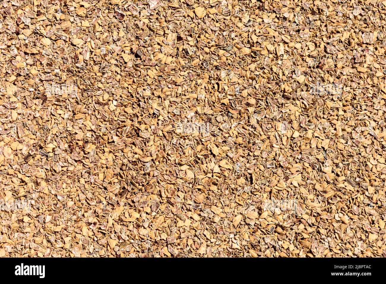 Pacciame di noci o noci da vicino Foto Stock