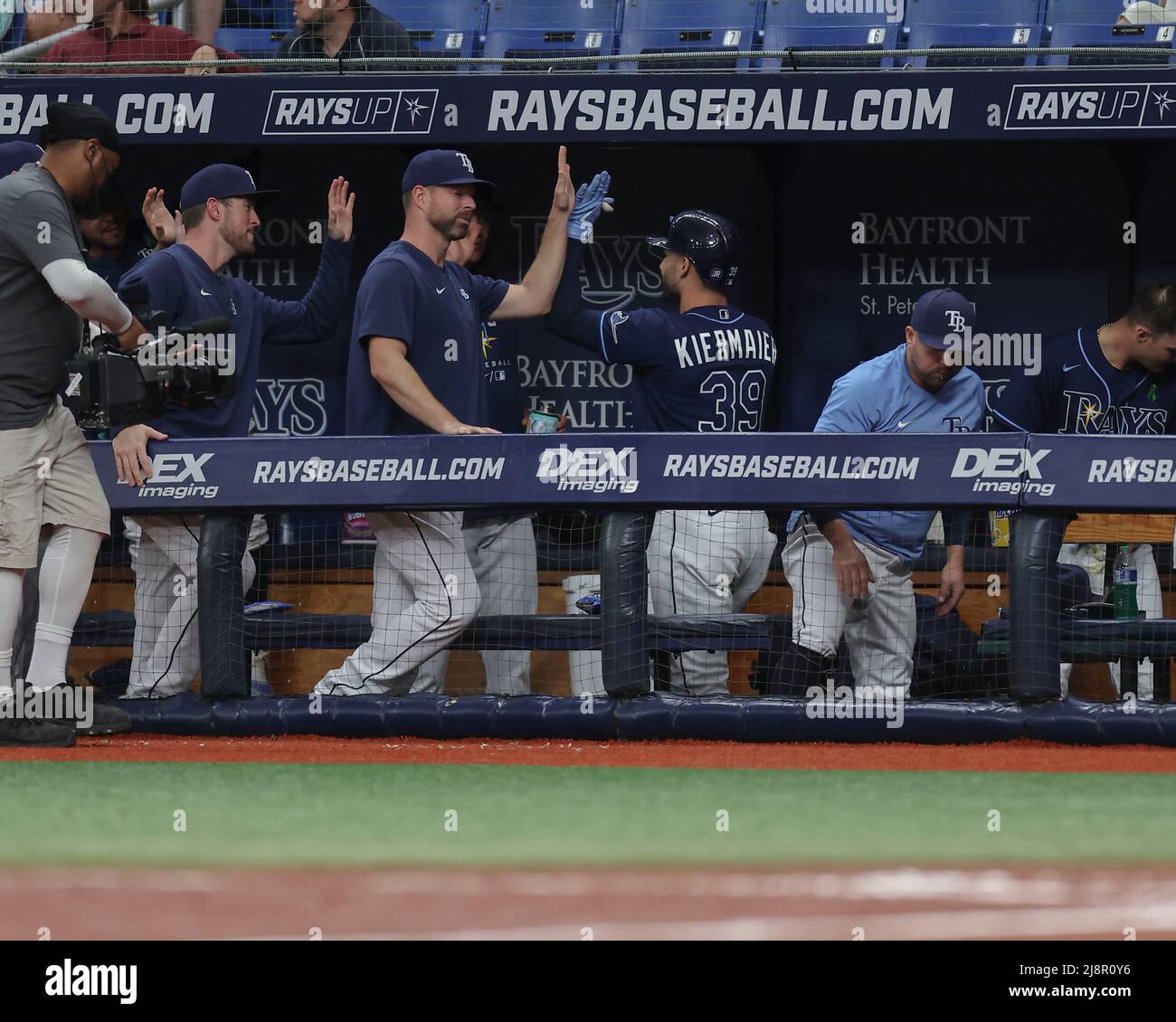 San Pietroburgo, Florida. USA; Tampa Bay raggi centro fielder Kevin Kiermaier (39) ottiene alti fives nel dugout dopo aver colpito una casa corsa nel secondo inni Foto Stock