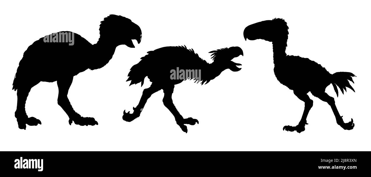 Rapaci preistorici. Kelenken, titanis e gastornis. Disegno silhouette con estinta predatori terrore uccelli. Foto Stock