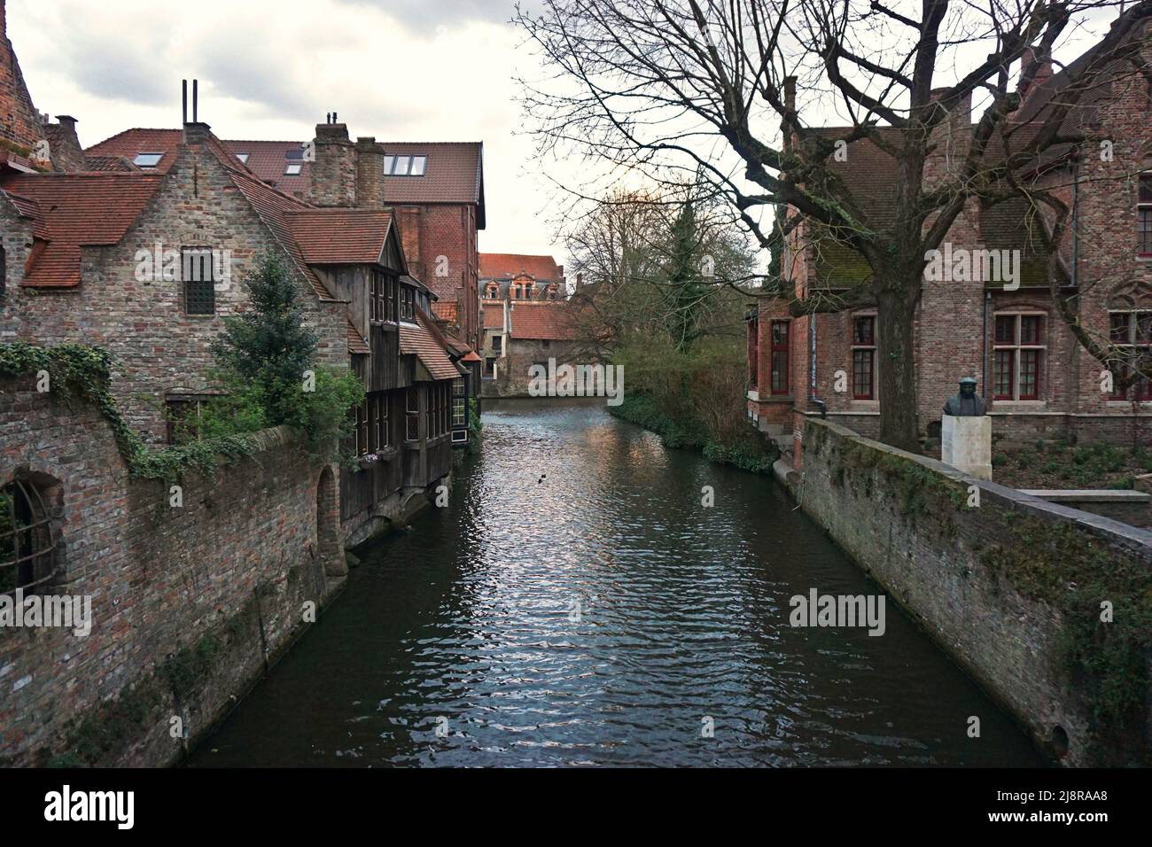 Canal vecchie case nel centro di Bruges, con due anatre sul fiume Foto Stock