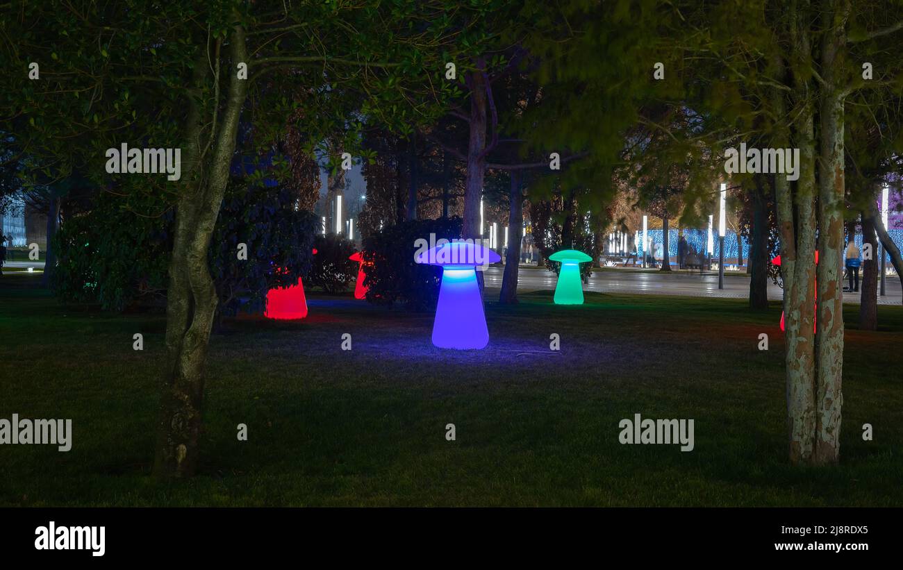 Funghi decorativi al neon che illuminano su un prato verde sotto gli alberi nel parco notturno Foto Stock