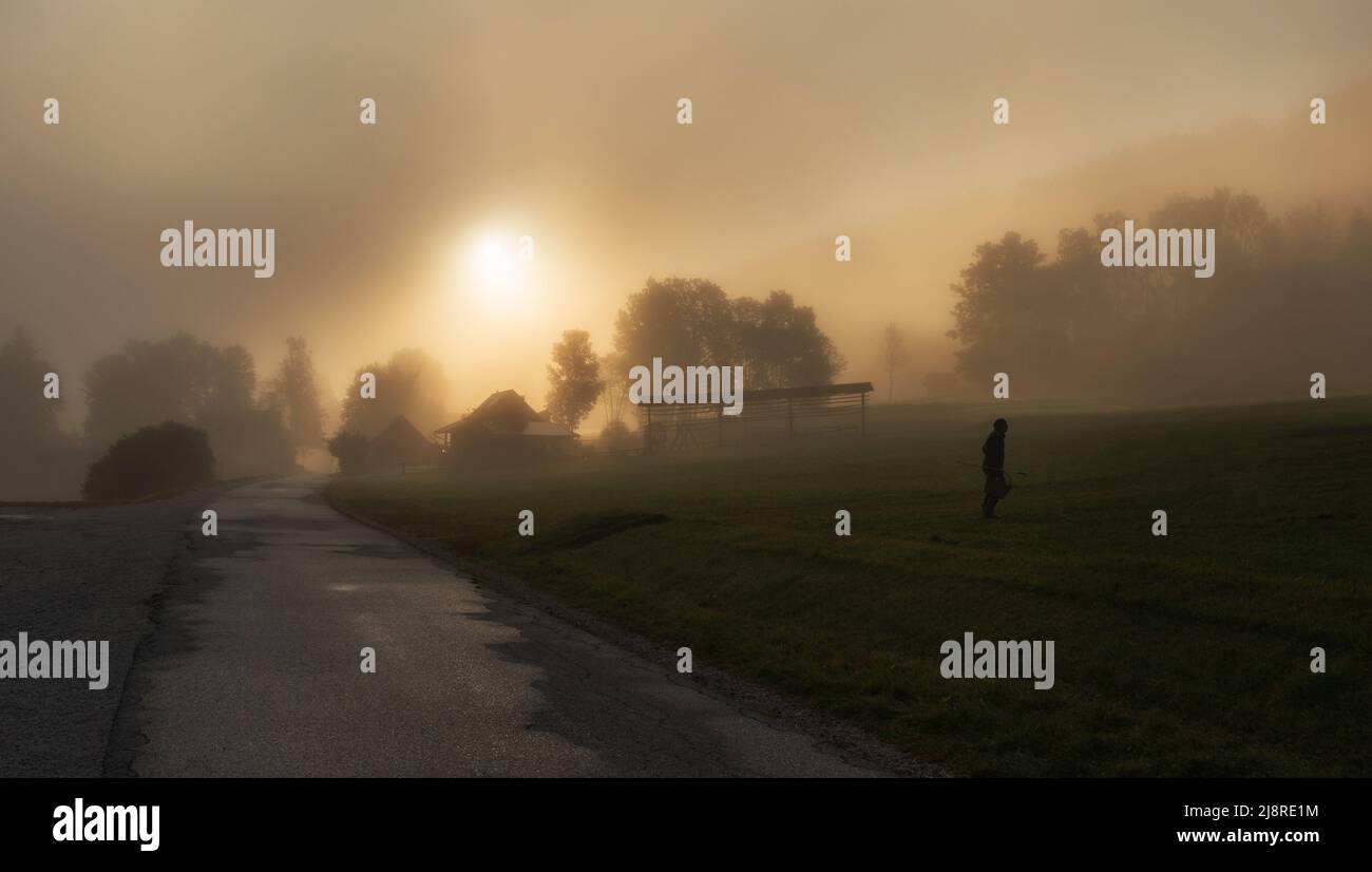 Misty mattina nella campagna slovena in autunno Foto Stock