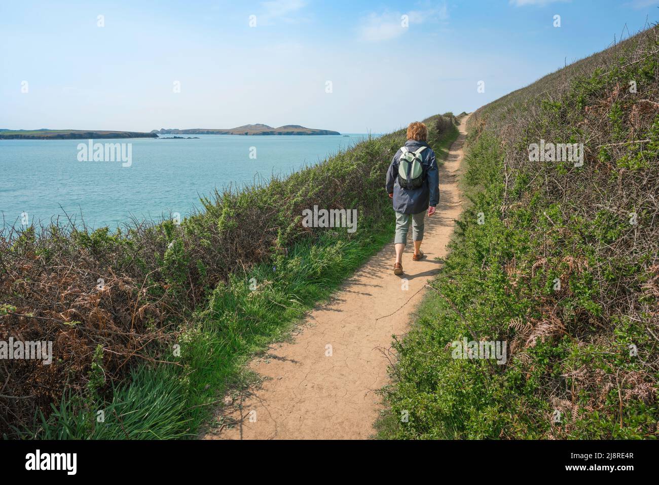 Donna che fa trekking nel Regno Unito, vista posteriore di una donna che cammina da sola su un sentiero costiero con il bel tempo, Pembrokeshire, Galles, Regno Unito Foto Stock