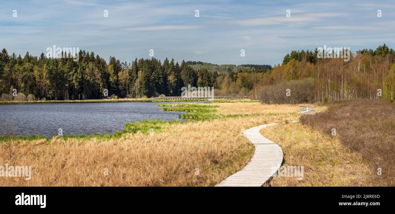 Paesaggio con una passerella in legno e ponte sullo stagno di Olsina, Repubblica Ceca Foto Stock