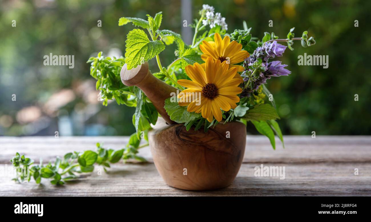 Foglie aromatiche di menta, rosmarino, basilico e lavanda, su un tavolo di legno. Erbe fresche in un mortaio, medicina di erbe, guarigione alternativa, spazio di copia Foto Stock