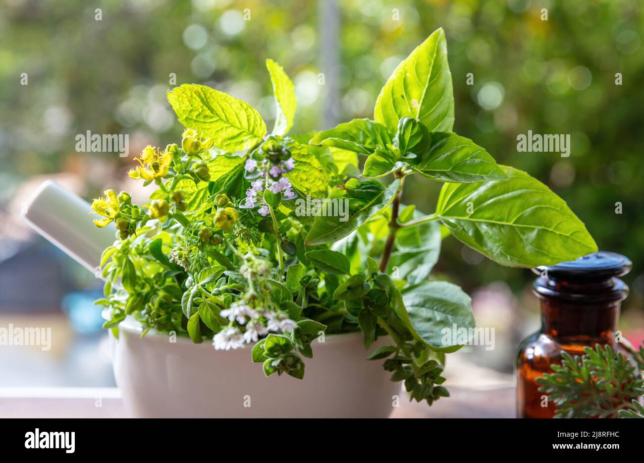 Erbe fresche in un mortaio, medicina di erbe, guarigione alternativa. Foglie aromatiche di menta, rosmarino, basilico e timo, da vicino. Natura medica e guarire Foto Stock Erbe fresche in un mortaio, medicina di erbe, guarigione alternativa. Foglie aromatiche di menta, rosmarino, basilico e timo, da vicino. Natura medica e guarire Foto Stock