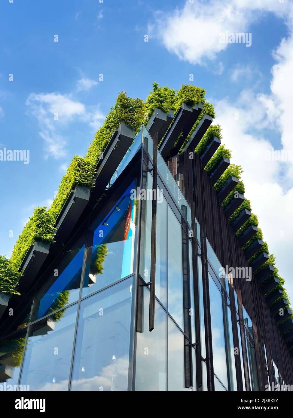 Costruzione sostenibile da parte di Ingenhoven Architects nel centro della città di Düsseldorf/Germania, coperta di siepi di carpino. Foto Stock