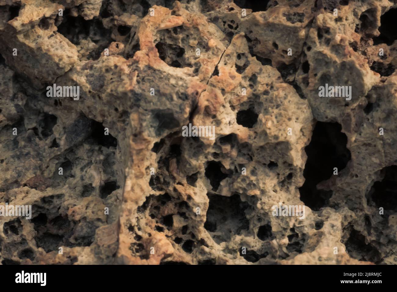 Macro close up roccia crack pietra solida schiumosa forma grezza porosa lava vulcanica congelato crea pomice antico stile lunare. Crateri marrone chiaro ardesia lunare Foto Stock