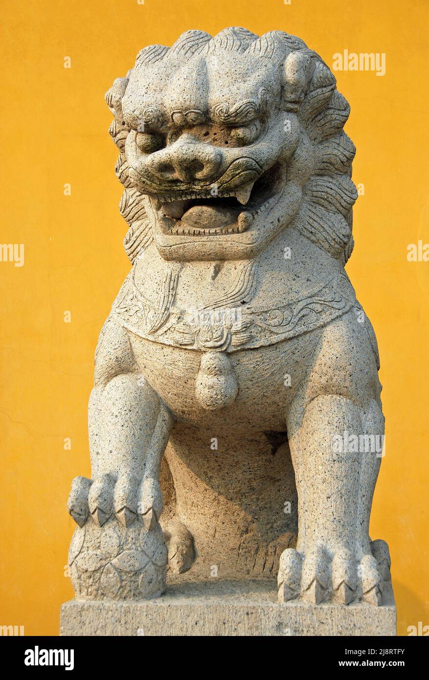 Zhenjiang, provincia di Jiangsu, Cina: Una tradizionale statua cinese del leone su sfondo giallo al Tempio di Dinghui a Zhenjiang. Foto Stock