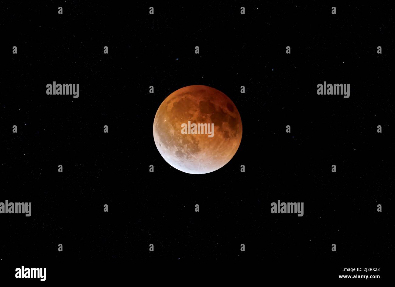 Super Flower Blood Moon - Eclipse lunare totale preso il 15 maggio 2022, Canada Foto Stock