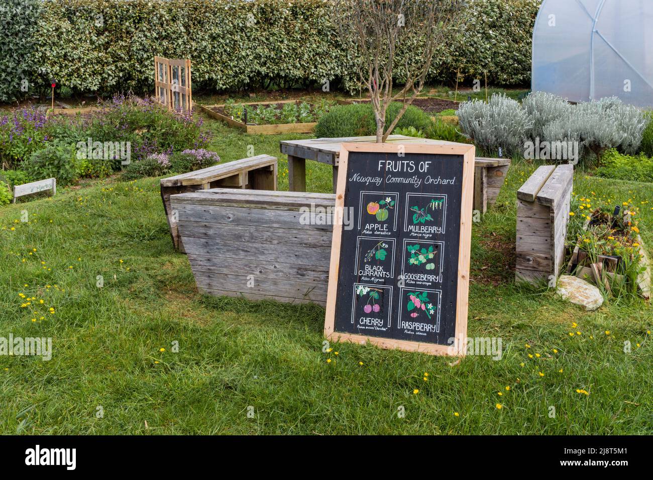Un segno che descrive i frutti che crescono nella comunità crescente spazio in Newquay Orchard uno spazio creato dalla comunità per la comunità di Newquay in Foto Stock