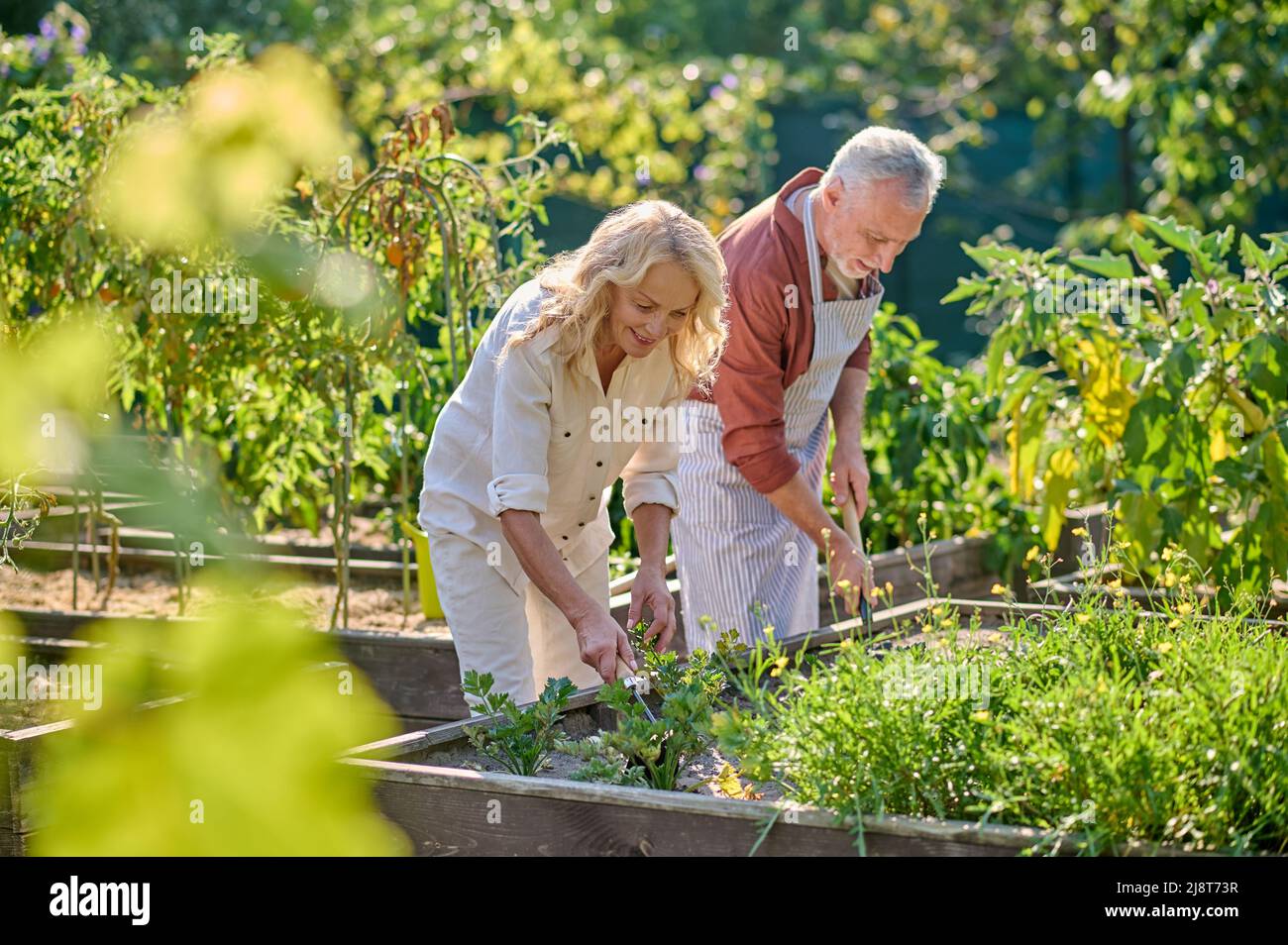 Donna e uomo che allentano il terreno in giardino Foto Stock