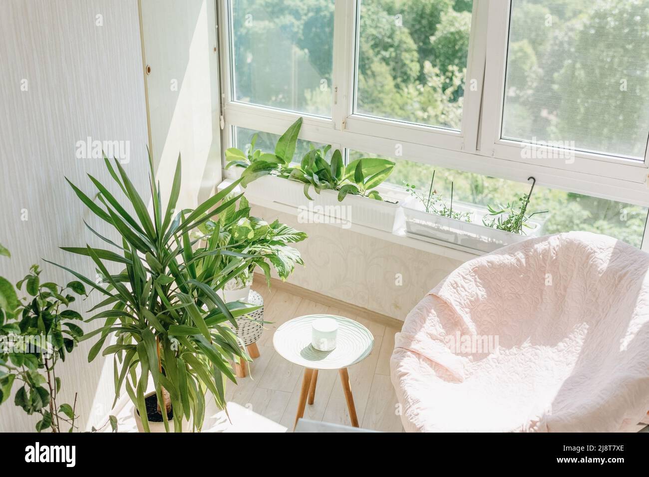 veranda interna in colori luminosi con piante per la casa e una grande poltrona Foto Stock