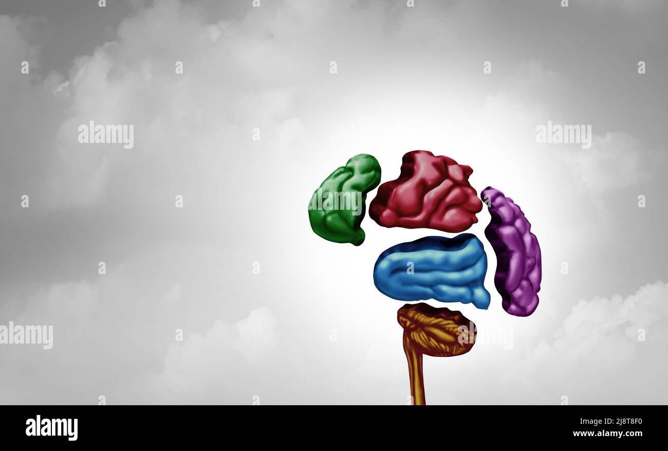 Disturbi cerebrali e malattie mentali o psicologia e psichiatria concetto come un cervello umano in pezzi spezzati in uno stile di illustrazione 3D. Foto Stock