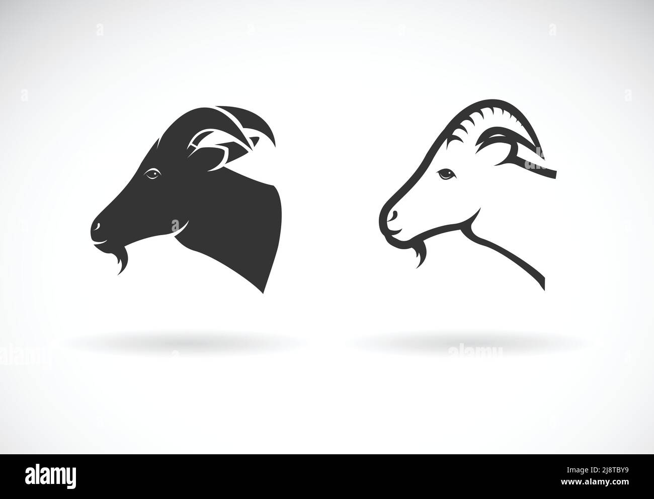 Vettore di un disegno di testa di capra su sfondo bianco, Animali selvatici. Illustrazione vettoriale a livelli facilmente modificabile Illustrazione Vettoriale