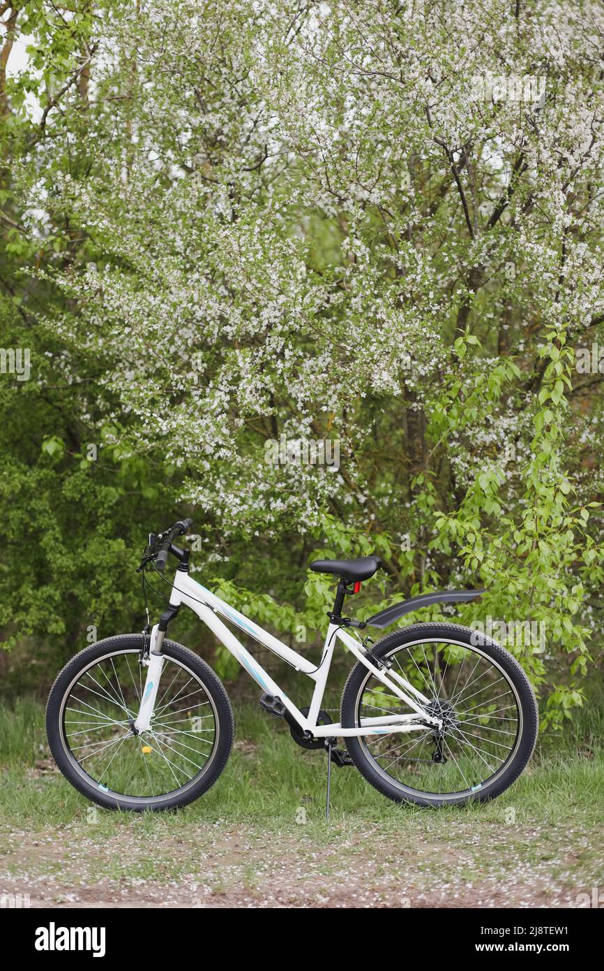 bicicletta sotto un albero di frutta in fiore nel parco. pic-nic primavera per il relax Foto Stock