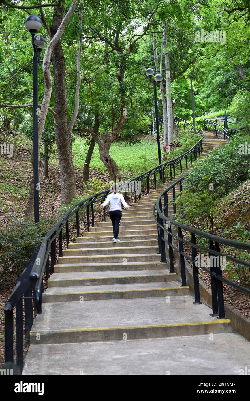 Una ragazza cammina sulla scalinata in un parco urbano, Hong Kong Foto Stock