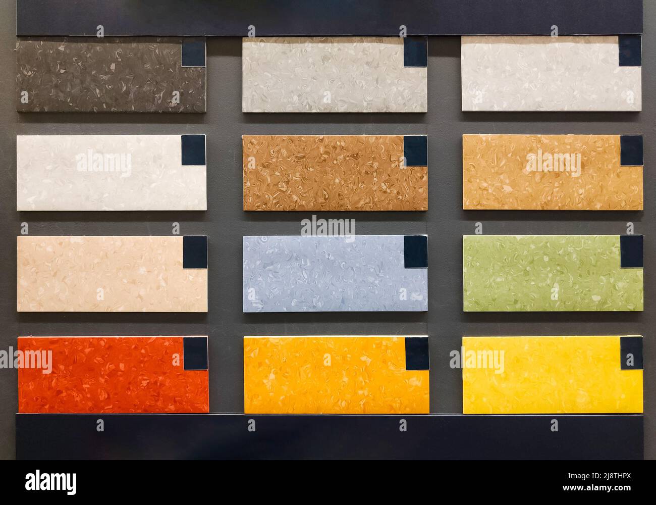 Campioni colorati di linoleum sulla parete nei negozi di materiali da costruzione. Catalogo campioni di pavimenti. Foto Stock