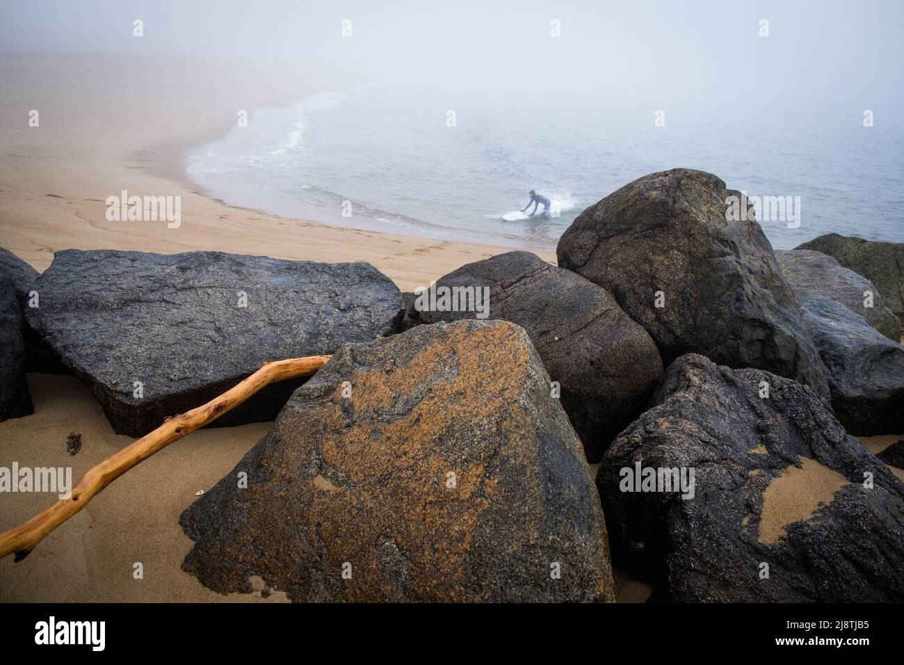 Plum Island, Massachusetts, USA, sulla costa del New England a nord di Boston. Foto Stock