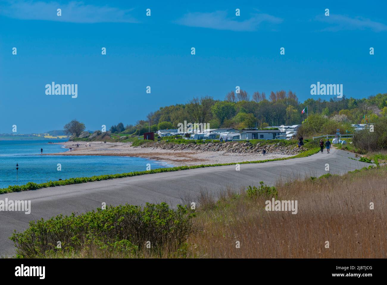 Campeggio 'Koralle' in umido-Fischleger comunità, Mar Baltico, paesaggio Schwansen, Stato federale Schleswig-Holstein, Nprthern Germania, Europa Foto Stock