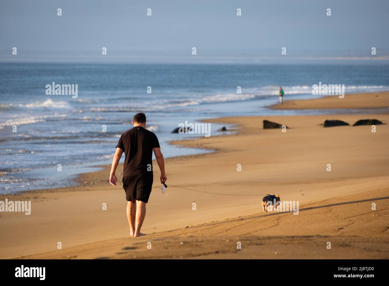 Plum Island, Massachusetts, USA, sulla costa del New England a nord di Boston. Foto Stock