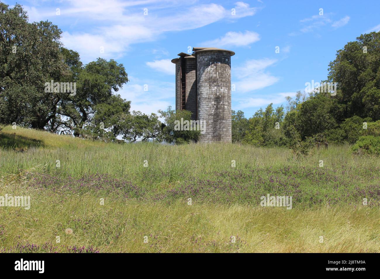 Silos, Jack London state Historic Park, California Foto Stock