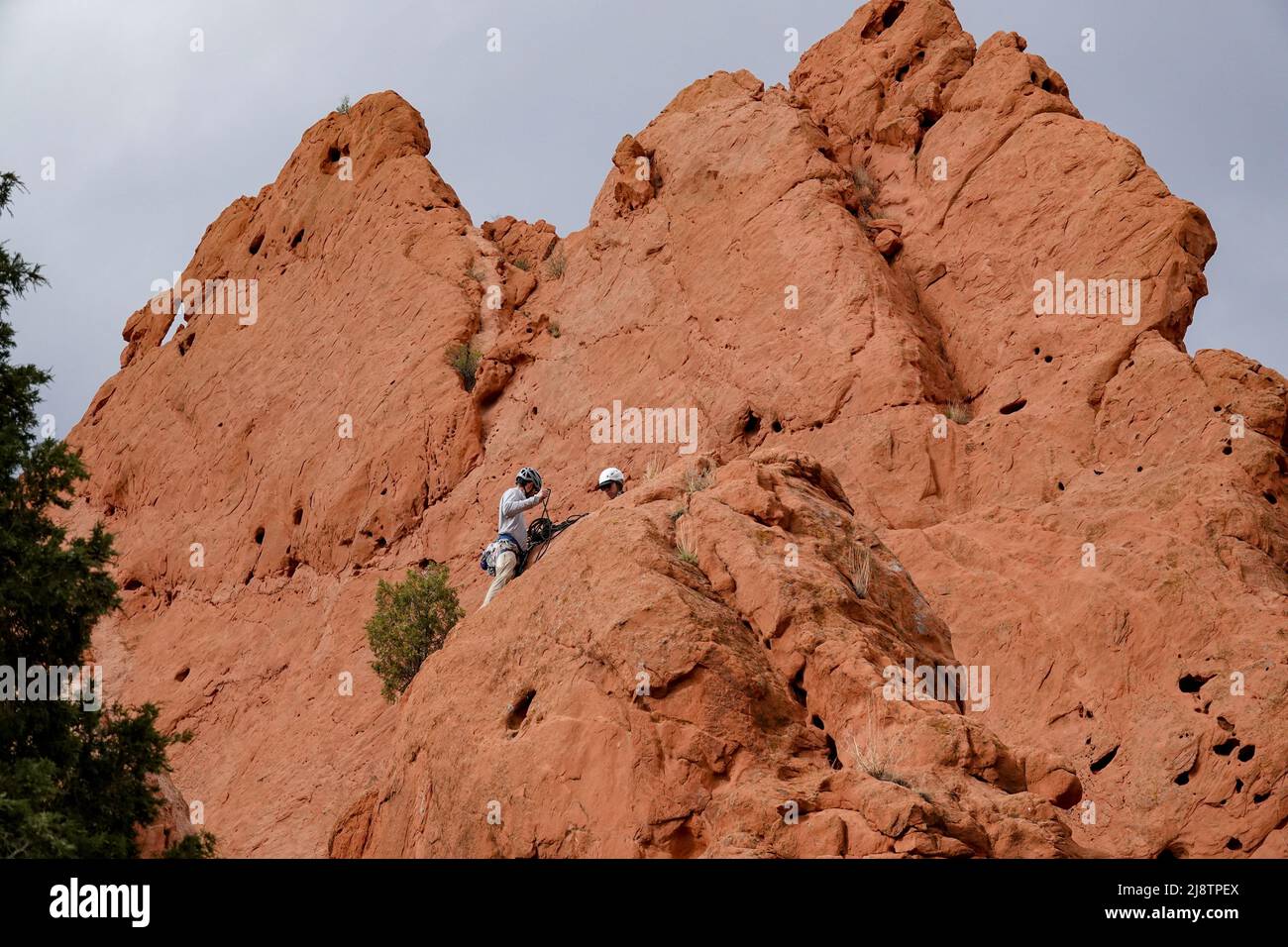 L'incredibile Garden of the Gods è una tappa essenziale quando si viaggia attraverso Colorado Springs, Colorado Foto Stock