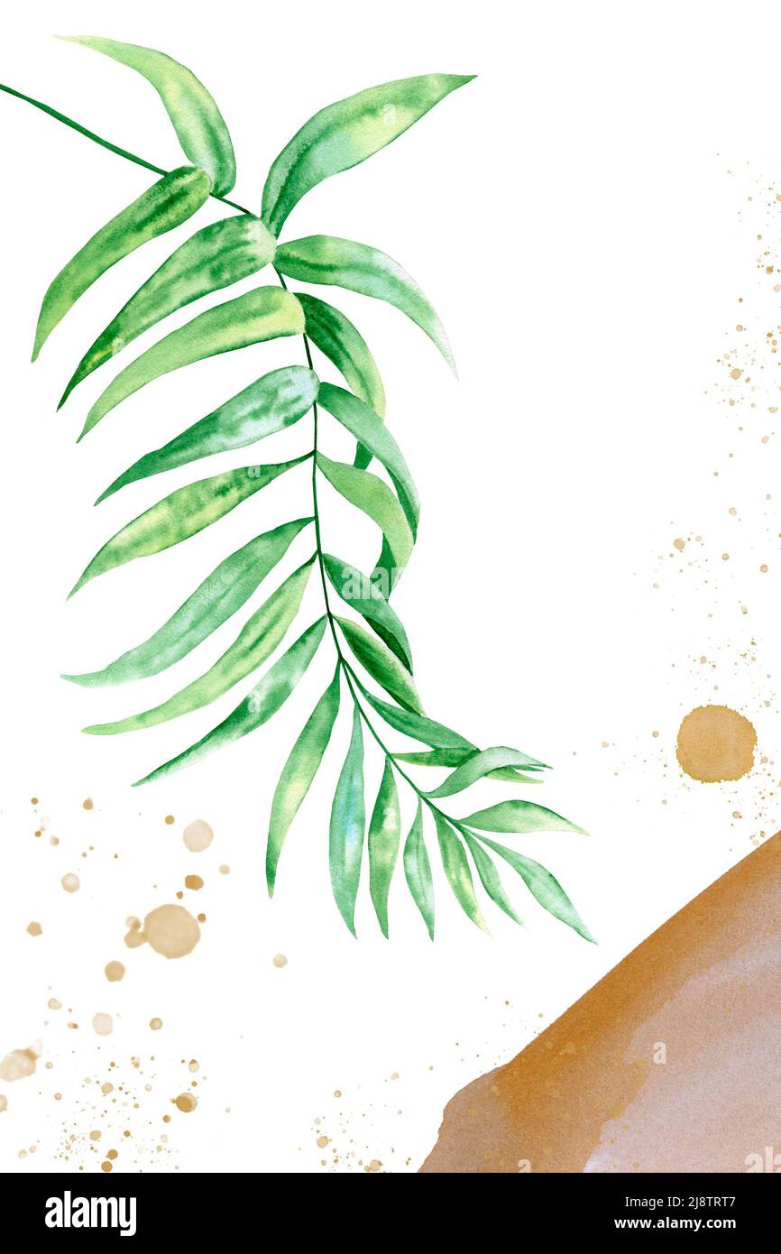 Arte botanica con elementi di astrazione nei toni beige e verde. Texture creative disegnate a mano con composizione di parete di rami di palma e di conio Foto Stock