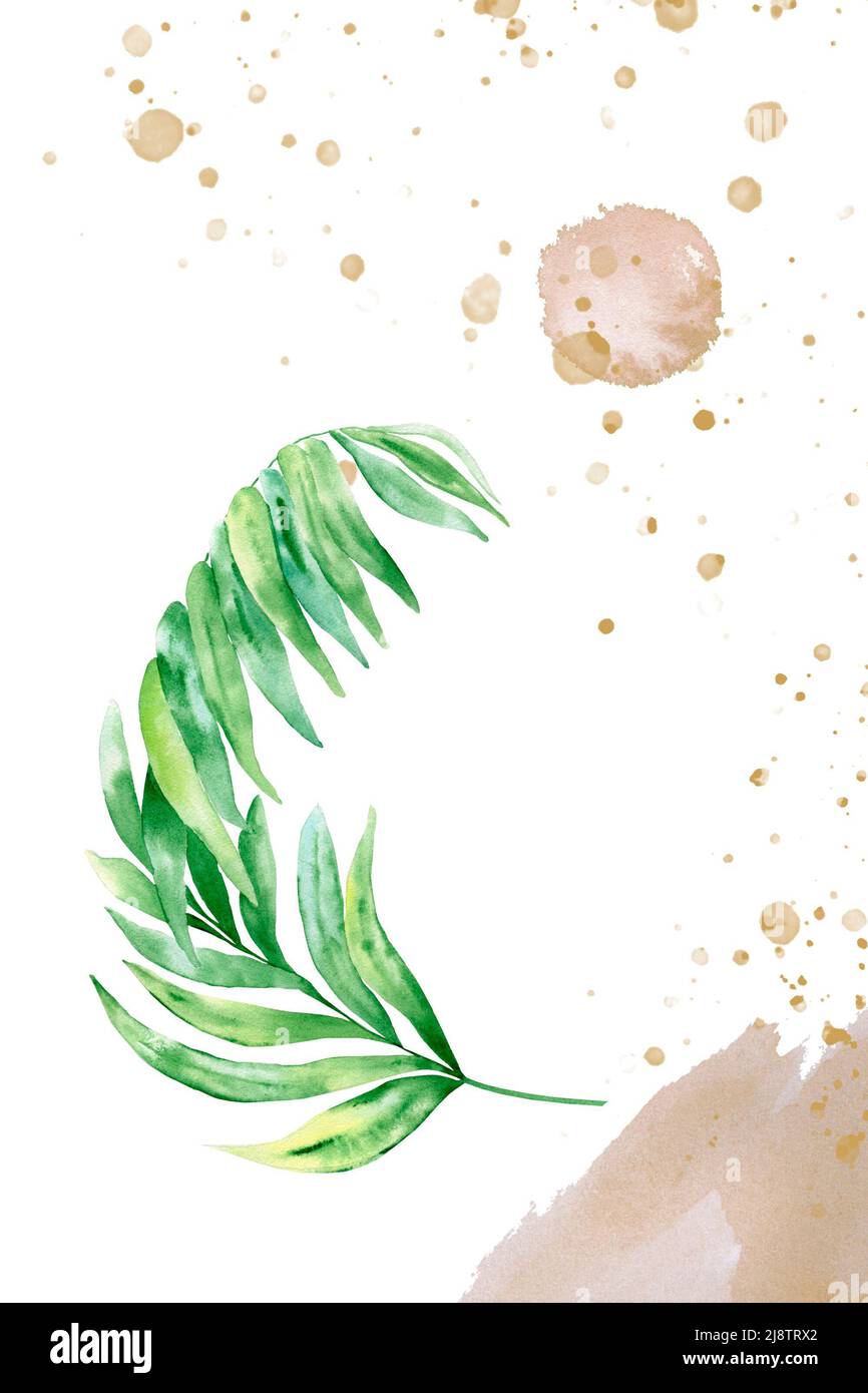 Arte botanica con elementi di astrazione nei toni beige e verde. Texture creative disegnate a mano con composizione di parete di rami di palma e di conio Foto Stock