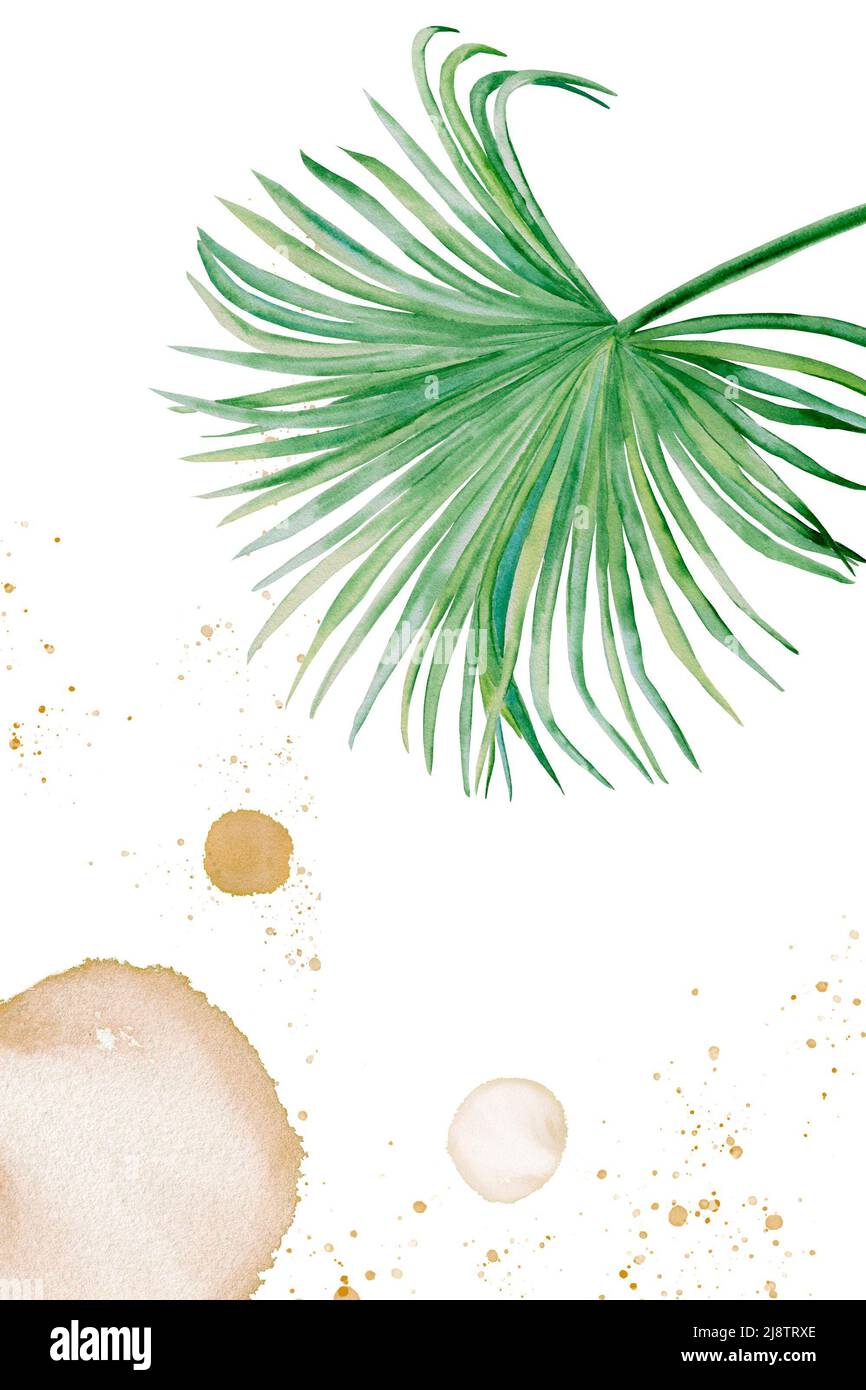 Arte acquerello botanica con elementi di astrazione nei toni beige e verde. Texture creative disegnate a mano con composizione di parete di ramo di palma Foto Stock
