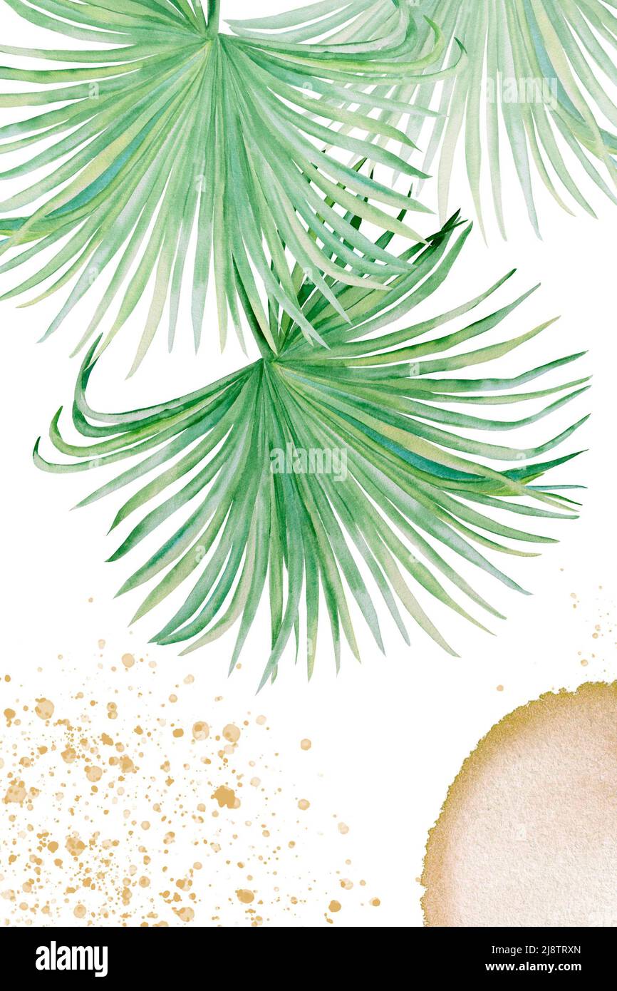 Arte acquerello botanica con elementi di astrazione nei toni beige e verde. Texture creative disegnate a mano con composizione di parete di ramo di palma Foto Stock
