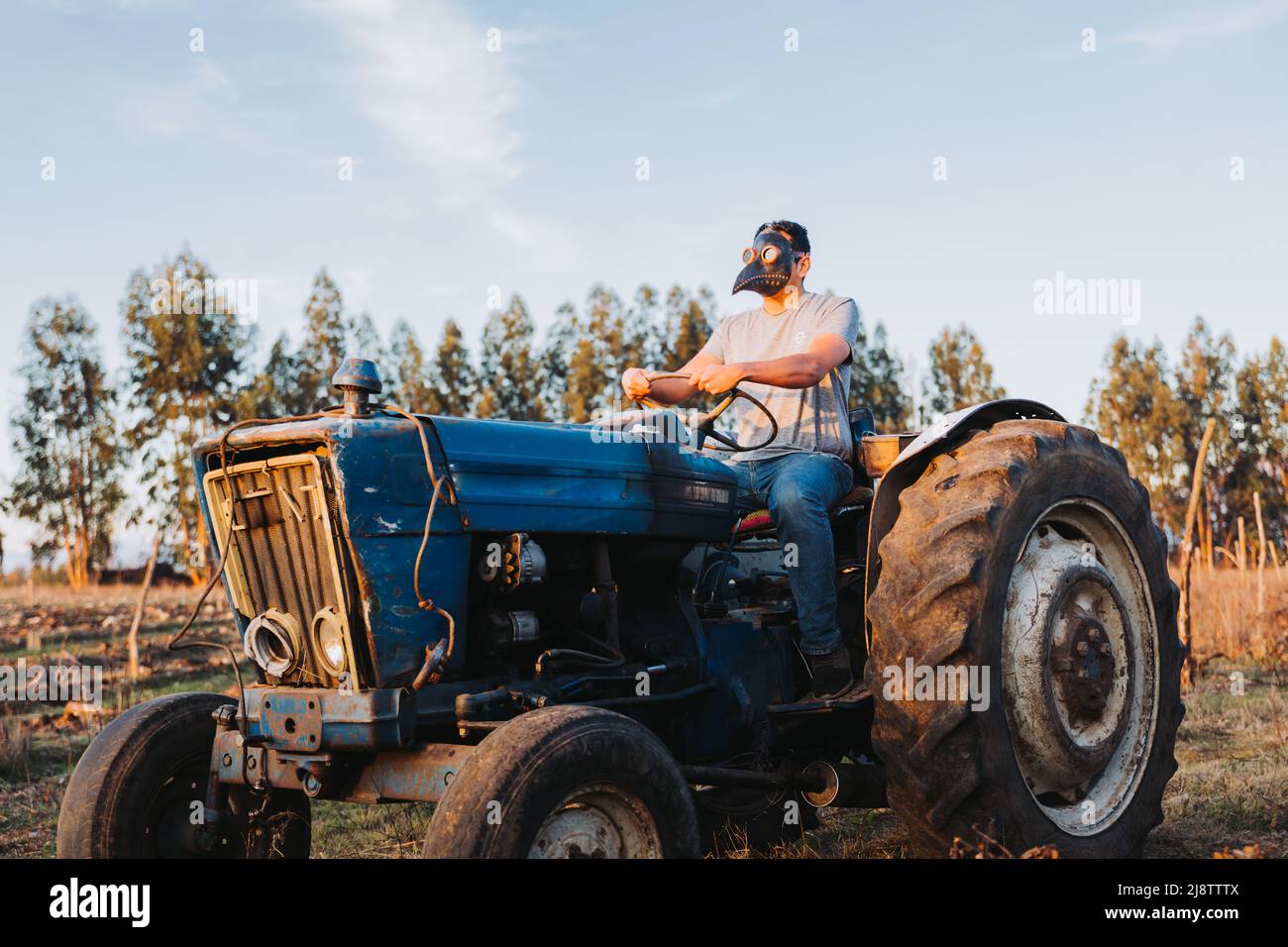 Sparo largo di un uomo contadino con la maschera peste sopra, guidando un vecchio trattore nel mezzo del suo terreno agricolo. Foto Stock
