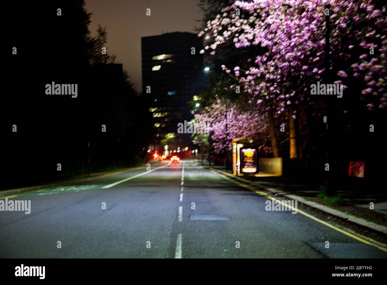 Nel mezzo di una strada o di un'autostrada che guarda avanti durante la notte in una città, Regno Unito Foto Stock