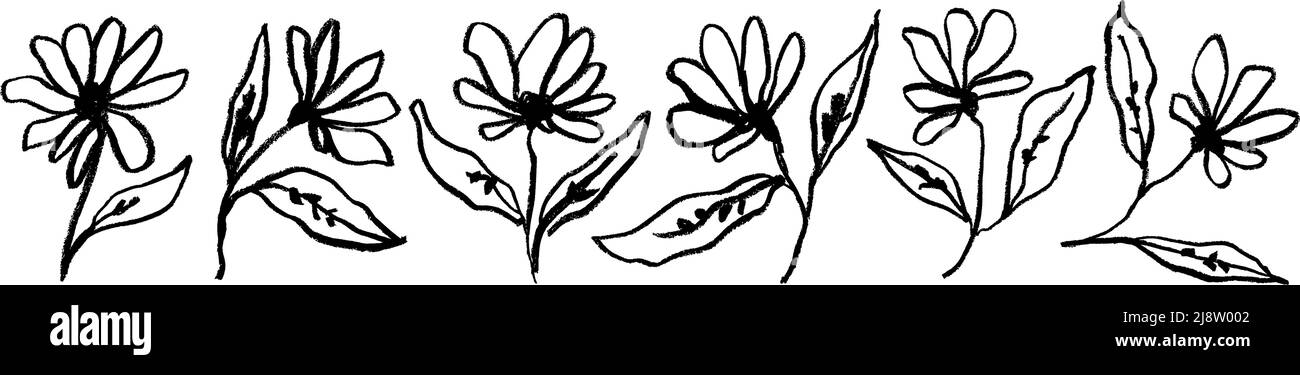 Fiori lineari semplici su steli isolati su bianco. Illustrazione Vettoriale