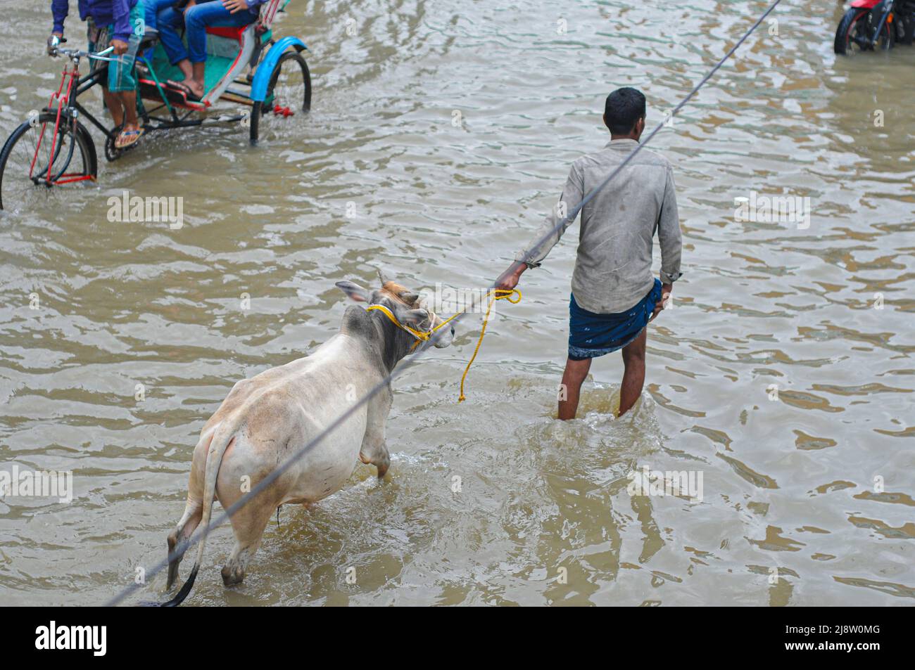 Sylhet, Città del Messico, Bangladesh. 17th maggio 2022. La gente va a destinazione in risciò sulla strada sommersa. Molte strade di Sylhet lungo il fiume sono state sommerse a causa di continue alte piogge per diversi giorni. L'acqua di tutti i fiumi della divisione Sylhet compreso il fiume di Surma di Sylhet sta fluendo sopra la zona di pericolo. Il 17 maggio 2022 a Sylhet, Bangladesh. (Credit Image: © MD Rafayat Haque Khan/eyepix via ZUMA Press Wire) Foto Stock