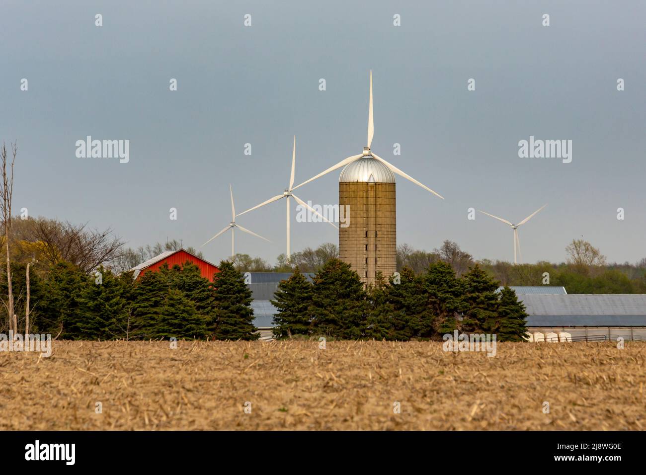 Port Austin, Michigan - turbine eoliche, parte della fattoria eolica Deerfield, sul terreno agricolo nel Thumb del Michigan. Foto Stock