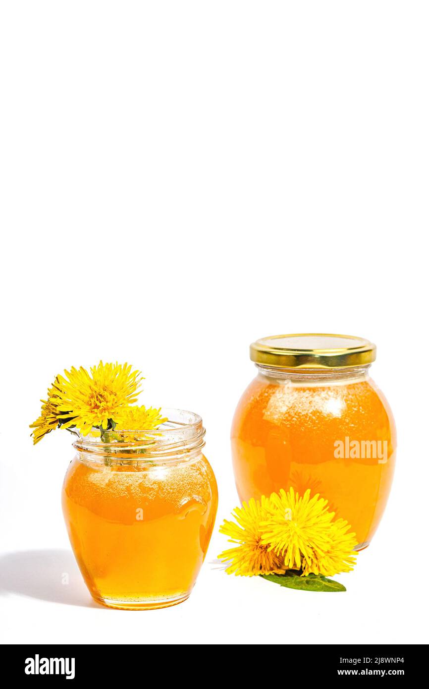 Marmellata di dente di leone o miele nel vaso di vetro con freschi fiori di dente di leone isolato su sfondo bianco. Prodotto stagionale, luce dura alla moda, ombra scura, c Foto Stock