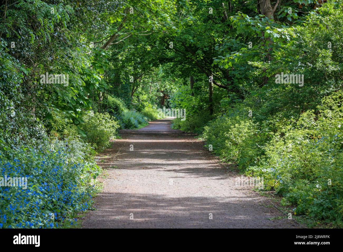 La via Wirral, circondata dal verde Foto Stock