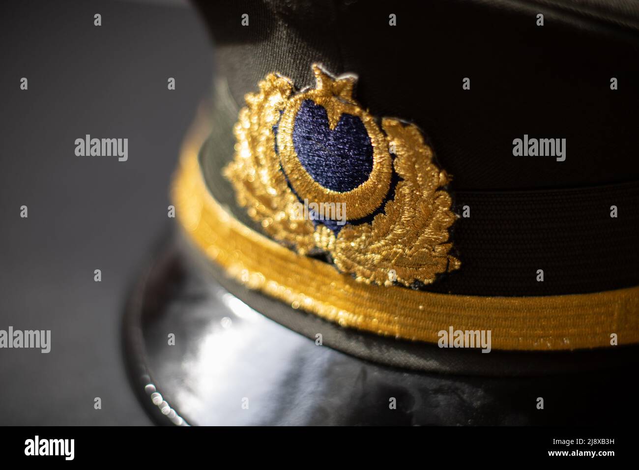 Distintivo Per Spilla Per Cappello Da Bavero Dell'ufficiale USN - Foto 3