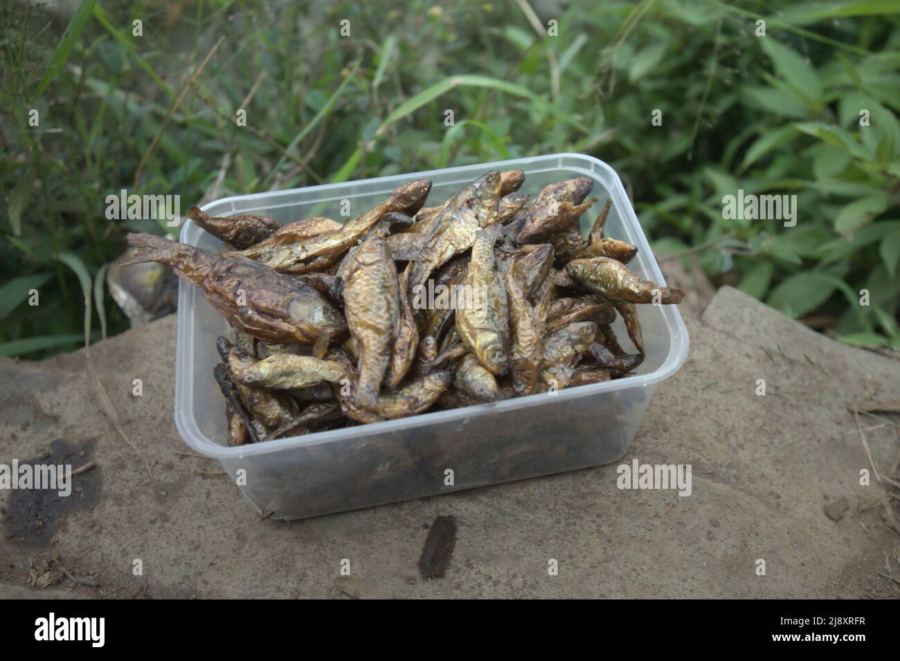 Pesci fermentati di acqua dolce come spuntino sul lago Gunung Tujuh a Gunung Tujuh, Kerinci, Jambi, Indonesia. Foto Stock