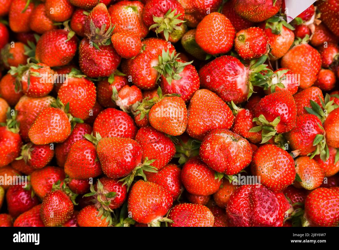 Fragole adagiate l'una sull'altra, consistenza di fragole. Messa a fuoco selettiva. Foto Stock