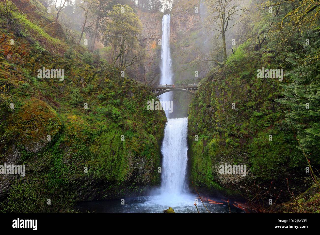 Multnomah Falls nella Columbia River Gorge National Scenic Area, Oregon. La cascata più alta dell'Oregon con il Benson Bridge che si estende sulle cascate più basse Foto Stock