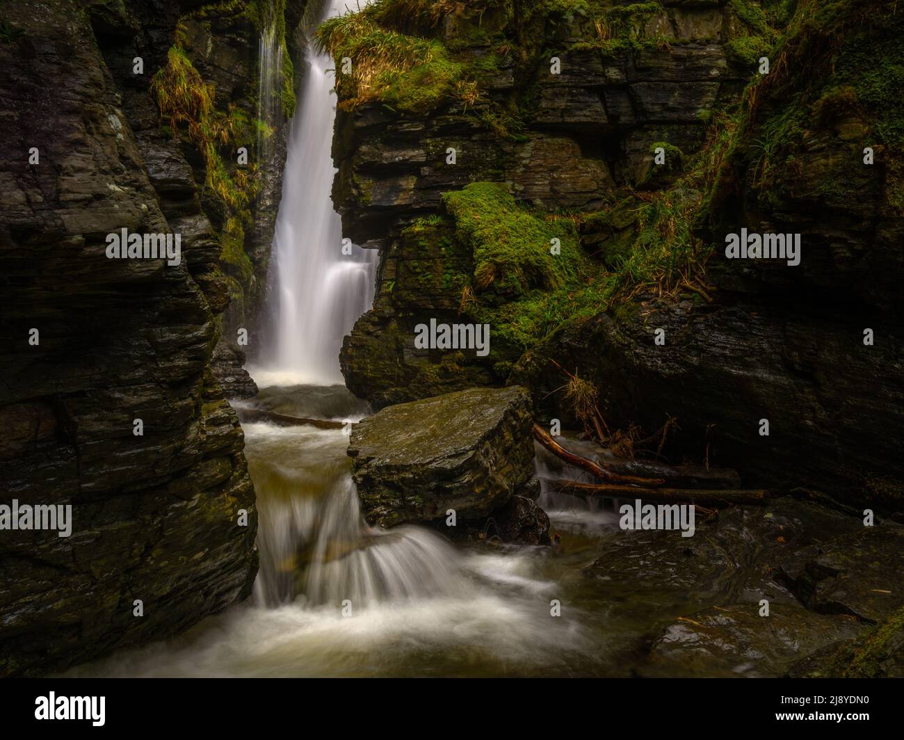 La cascata della forza del getto nel distretto del lago, Regno Unito Foto Stock