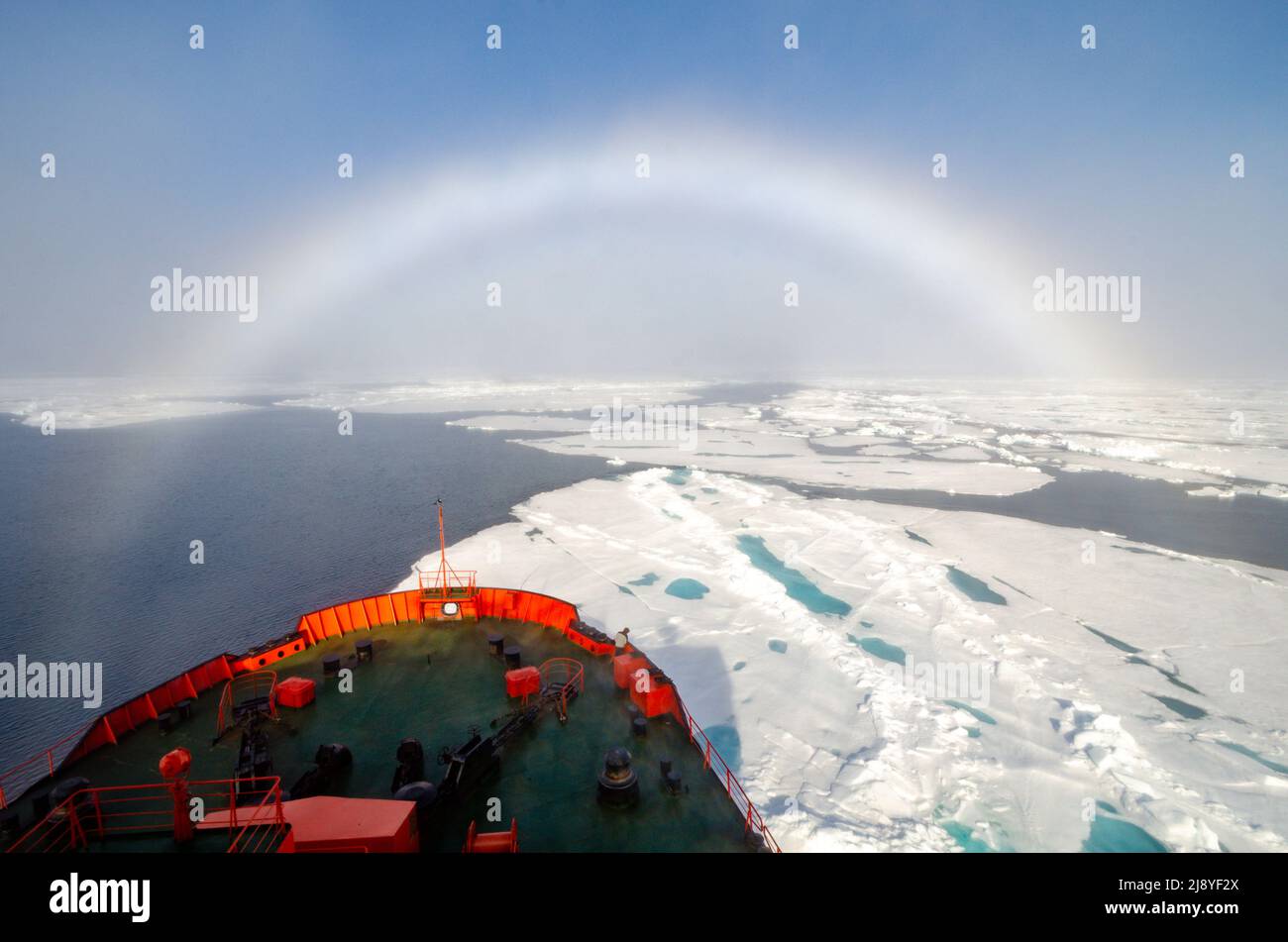 Una rara prua di nebbia pende sul ghiaccio marino nell'Oceano Artico di fronte ai 50 anni di Victory (50 Let Pobody) rompighiaccio nucleare Foto Stock