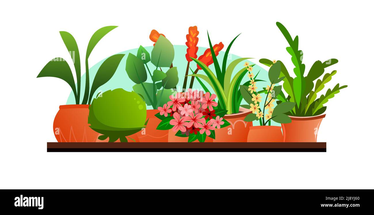 Piante e fiori interni. Ancora vita sul davanzale. In pentole di ceramica. Belle erbe fatte in casa. Isolato su sfondo bianco. Stile divertente Cartoon. V Illustrazione Vettoriale