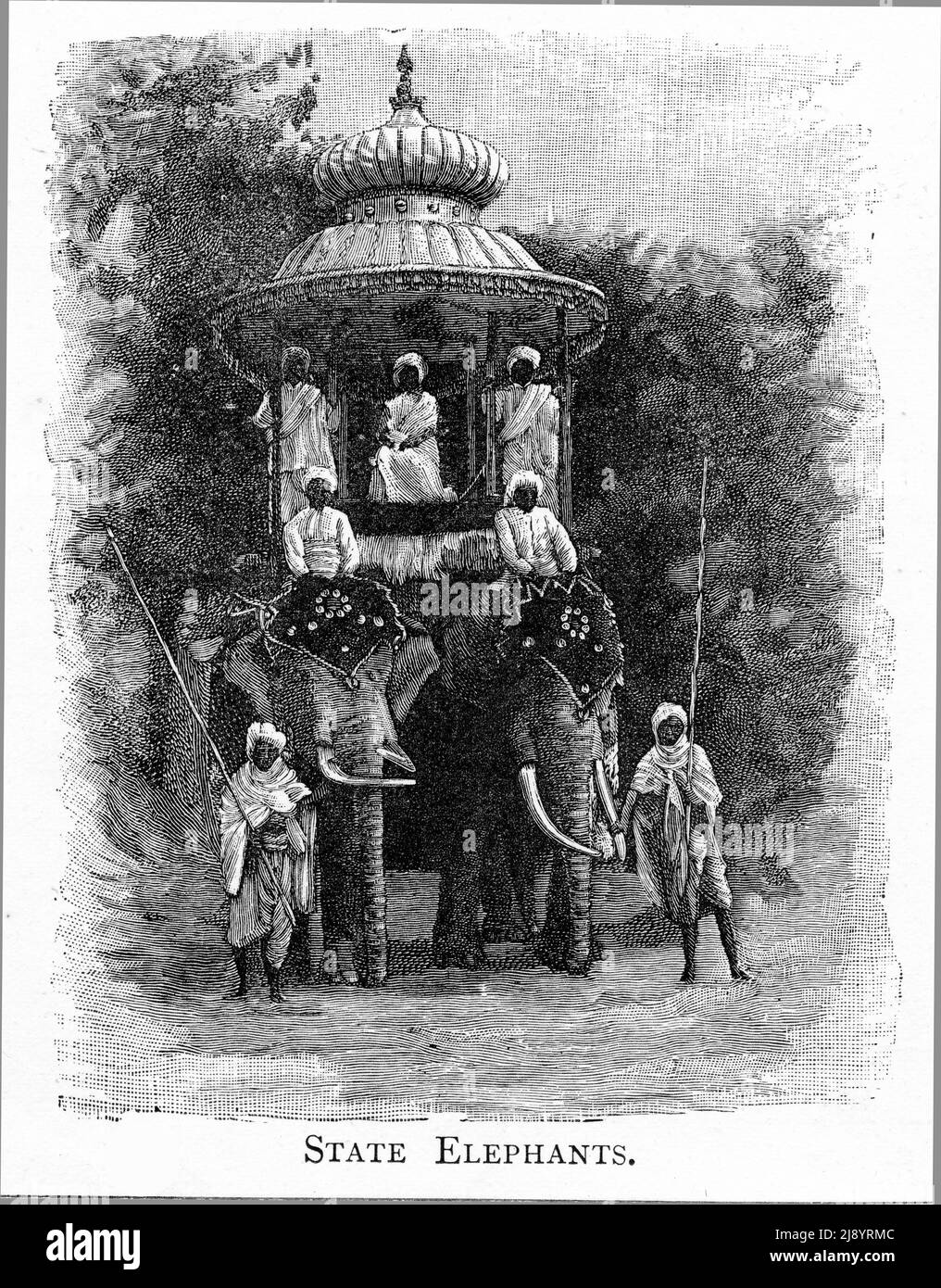 Incisione di elefanti di stato in India, circa 1880 Foto Stock