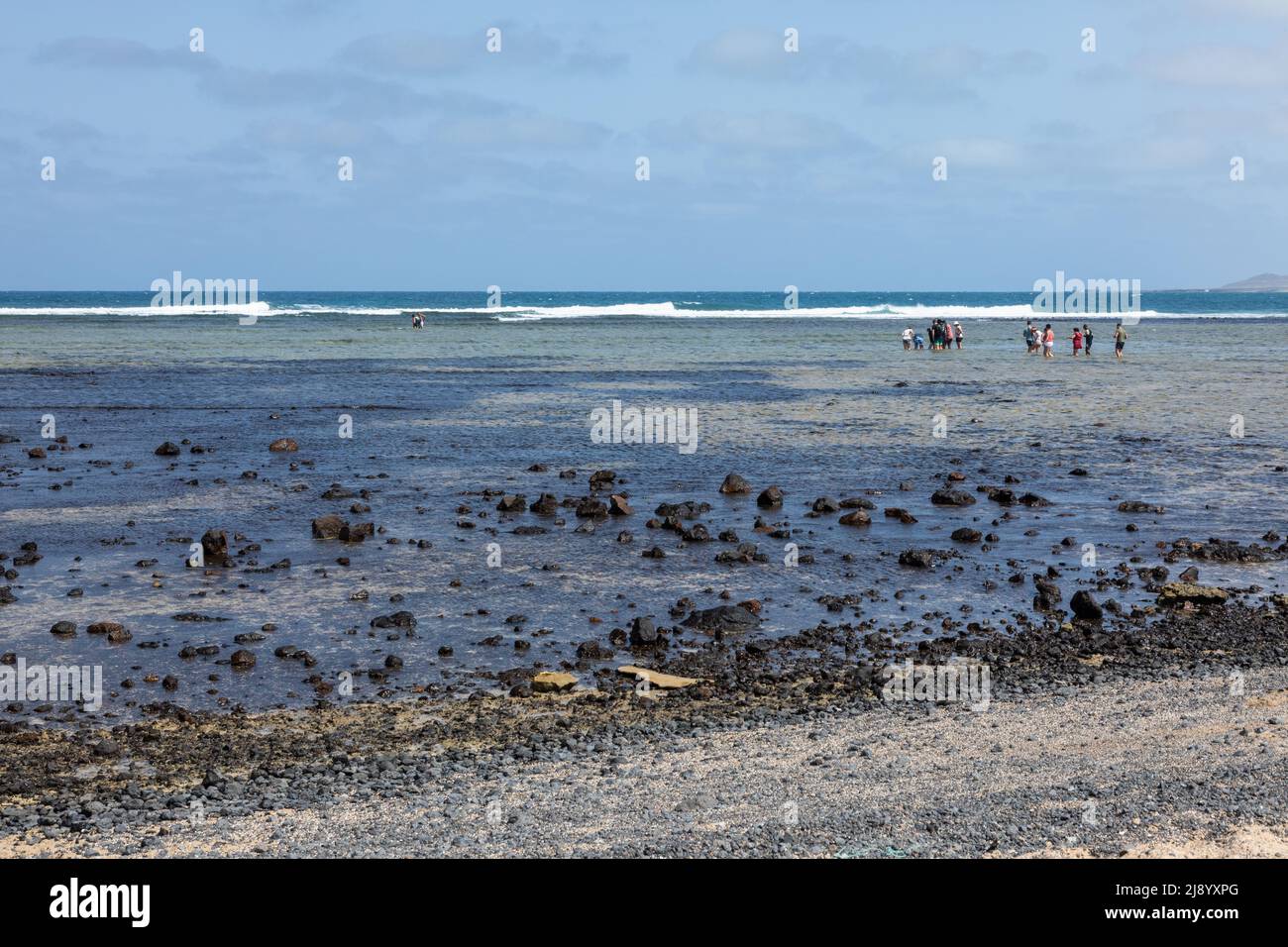 I turisti in un'escursione per vedere gli squali di limone a Shark Bay, Feijoal, SAL Island, Capo Verde Cabo Verde Islands, Africa Foto Stock