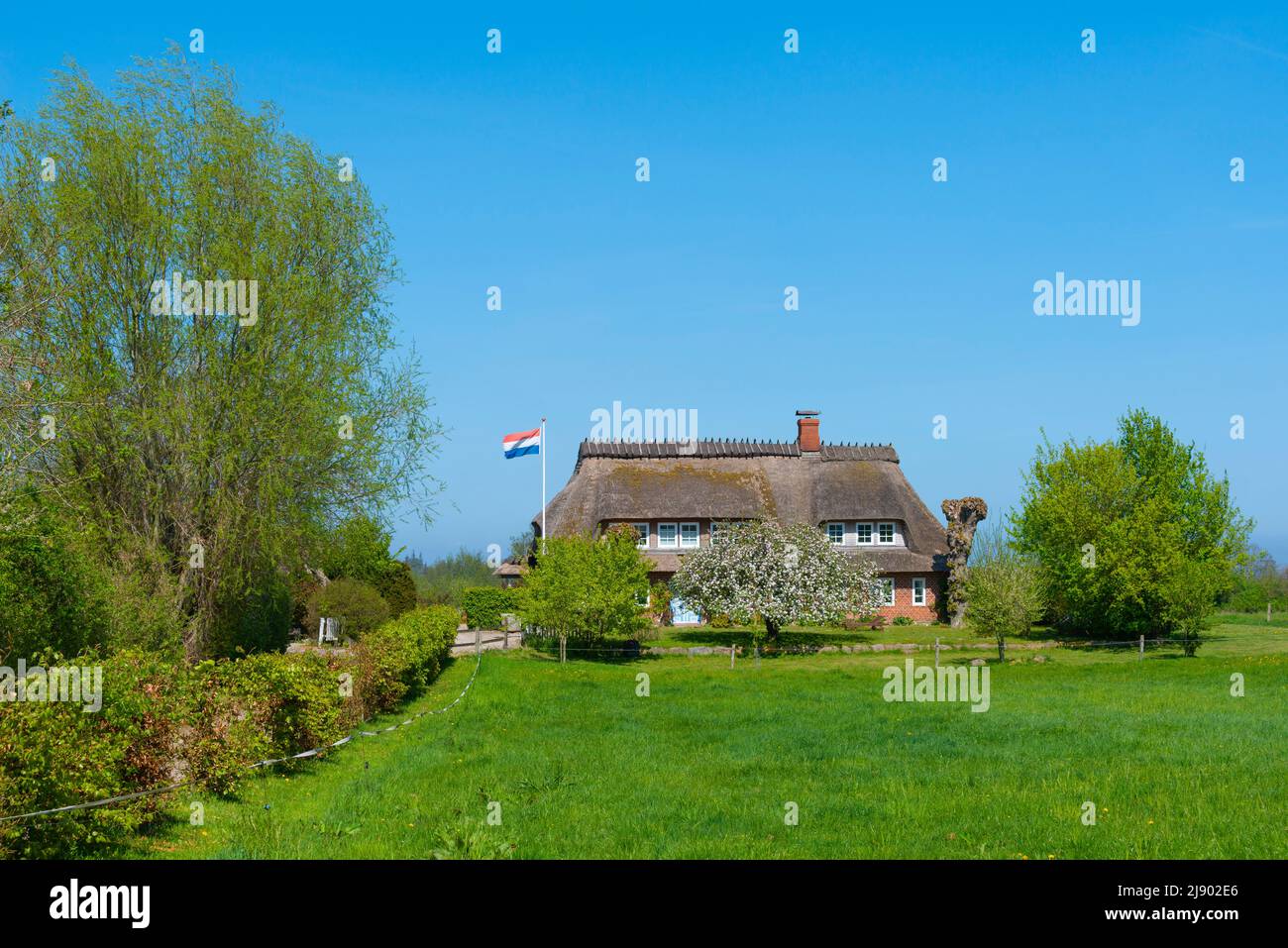 Riserva Naturale Geltinger Birk, Nieby, Flensburger Fjord, Mar Baltico, paesaggio Angeln, Schleswig-Holstein, Germania settentrionale, Europa centrale Foto Stock